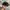 CAP HAT NEWBALANCE LOGO photo 2