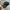 CAP HAT NEWBALANCE LOGO photo 1