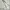 OUTER DENIM BIG POKET BY 8SCOUND BROKEN WHITE  photo 6