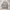 Burberrys Coat Jacket Liner Puffer Down 90s Nova Check  photo 2