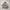 Burberrys Coat Jacket Liner Puffer Down 90s Nova Check  photo 3
