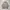 Burberrys Coat Jacket Liner Puffer Down 90s Nova Check 