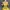 Woman Long Dress photo 4