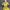 Woman Long Dress photo 6