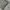 Cargo Pants Olive Green photo 3