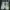 Fila Sportswear Casual Sneakers Pria white photo 4