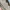 Salomon XT6 Goretex  photo 6
