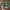 Vans Authentic 44 DX Anaheim "Emerald Green" photo 4