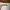 ZARA KEMEJA PUTIH