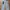 Levi’s Farm High Loose Women’s Jeans photo 2