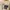 New Balance Streetwear Sportswear Sweater Pria cream photo 1