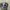 Cumins Realtree Hats  photo 4