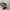 Cumins Realtree Hats  photo 5