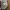 Burberry Londo Vneck Tshirt photo 3