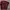 Minimalist Crop top Wanita burgundy green photo 3