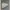 Coat Army Combat Uniform photo 2