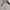 Adidas Casual Polo shirt Pria navy gray photo 2