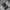 HODOIE ADIDAS RINGER 3 STRIPES SECOND ORIGINAL photo 3