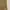 Dickies Carpenter Rinsed Dark Brown