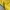 PIKO Hawaiian Longboard Wear Yellow Tee | Vintage 90s Surf  photo 6