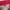 Streetwear Vintage Windbreaker Pria red photo 5
