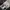 Japanese brand Avant Garde Casual pants Pria black photo 4