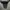 DC shoes, skate, Converse vans photo 5