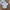 Lacoste Casual T-shirt Wanita white photo 1