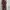 11/10 Studio Minimalist Casual Other Wanita brown black photo 1
