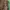 Crocodile Leopard Sherpa Fleece Jacket Y2K Cozy Outerwear photo 5