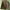 Crocodile Leopard Sherpa Fleece Jacket Y2K Cozy Outerwear photo 1