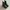 Melissa x Undercover Jun Takahashi Spike Boots photo 1