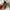 Rare Vintage ALBA W329-4000 SPORT 10 Digital Watch, Jam Alba photo 5