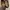 flat shoes  photo 2