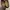 Flat Shoes 