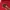 MLB Streetwear Sportswear Bomber jacket Pria red photo 5