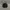 Kangol Luxury Hat Pria black photo 4