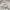 Unknown Baggy short sweatpants Grey photo 8