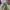 La senza lace panty L photo 5