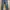 jeans denim  biru  photo 1