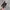 AUTHENTIC CHANEL WOC CAVIARSKIN photo 6