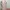 Muslim Maxi dress Wanita pink photo 1