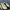 high heels payless 6cm photo 5