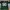 Jersey Green Bay Packer