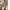 Streetwear Casual Crossbody Bag Wanita multicolor photo 3