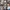 Streetwear Casual Crossbody Bag Wanita multicolor photo 7