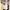 Streetwear Casual Crossbody Bag Wanita multicolor photo 6