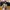 Streetwear Casual Crossbody Bag Wanita multicolor photo 2