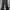Dickies genuine black photo 3