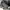 Adidas Yeezy 750, goth avantgarde y2k  photo 5